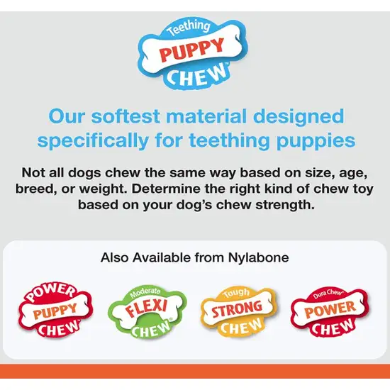 Nylabone Puppy Chew Ring Bone Chicken Flavor Petite Photo 3