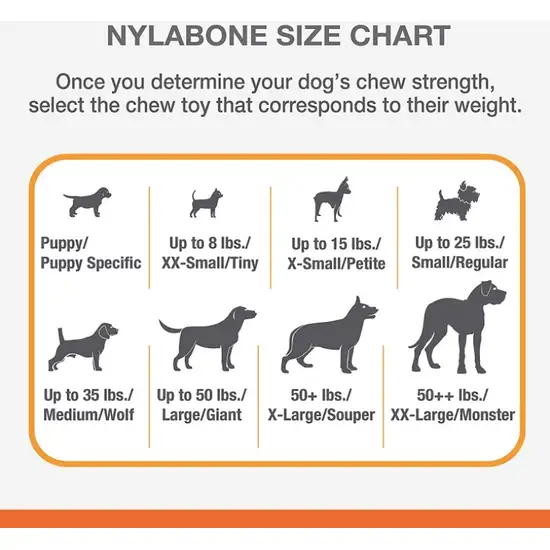 Nylabone Puppy Chew Starter Kit Photo 6