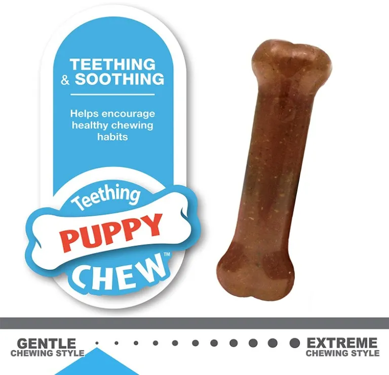 Nylabone Puppy Chew Starter Kit Photo 2