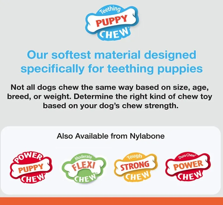 Nylabone Puppy Chew Starter Kit Photo 5