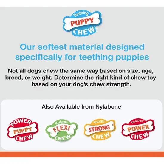 Nylabone Puppy Chew Starter Kit Photo 5