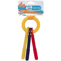 Photo of Nylabone Puppy Chew Teething Keys Chew Toy