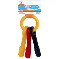 Photo of Nylabone Puppy Chew Teething Keys Chew Toy