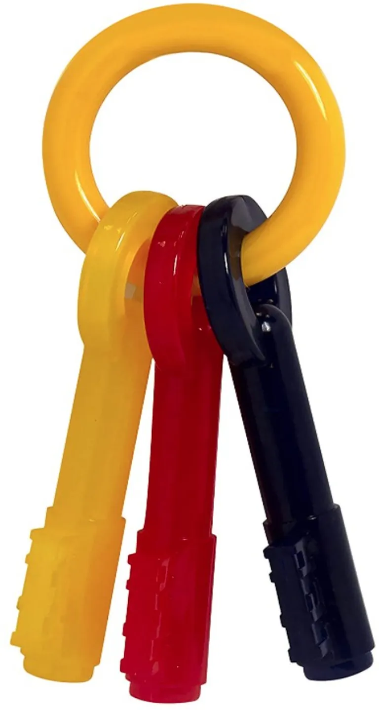 Nylabone Puppy Chew Teething Keys Toy Photo 2