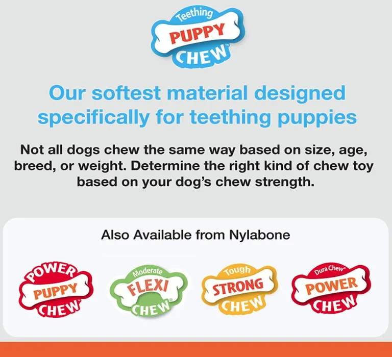 Nylabone Puppy Chew Teething Keys Toy Photo 3