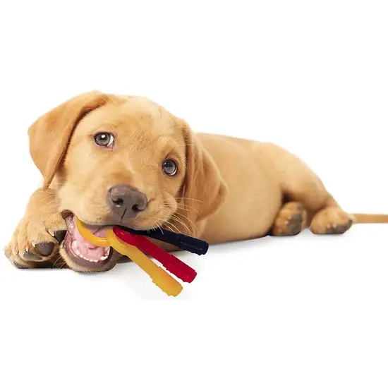Nylabone Puppy Chew Teething Keys Toy Photo 5