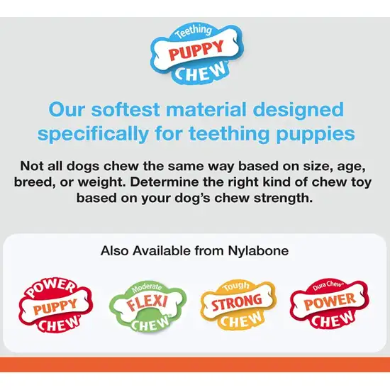 Nylabone Puppy Chew Teething Keys Toy Photo 4