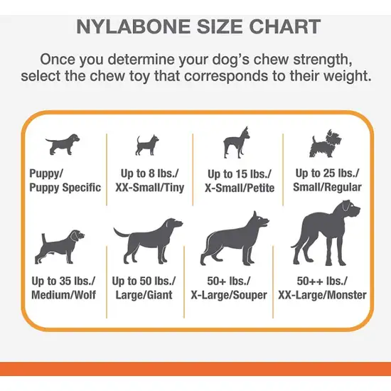 Nylabone Puppy Chew Teething Keys Toy Photo 3