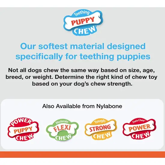 Nylabone Puppy Chew Teething Keys Toy Photo 2