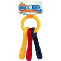 Photo of Nylabone Puppy Chew Teething Keys Toy