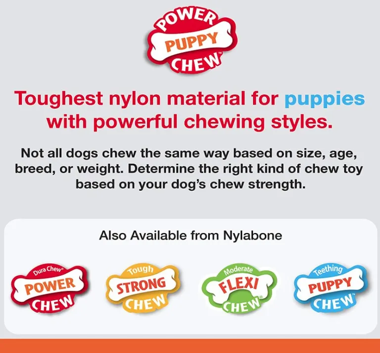 Nylabone Puppy Chew Teething Rings Bacon Flavor Photo 3