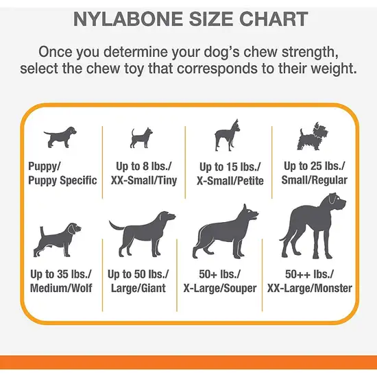 Nylabone Strong MAX Stuffable Chew Cone Toy Beef Flavor Photo 3