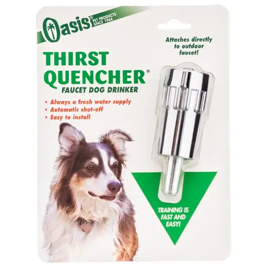 Oasis Thirst Quencher Faucet Dog Waterer Photo 1