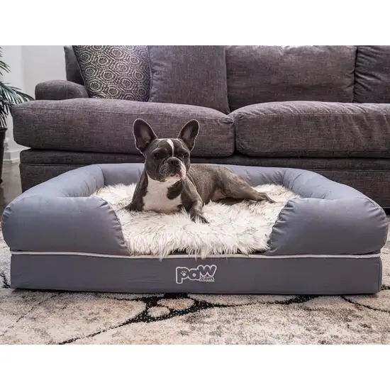 Paw PupLounge Memory Foam Bolster Bed & Topper Photo 5