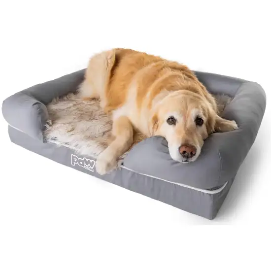 Paw PupLounge Memory Foam Bolster Bed & Topper Photo 6