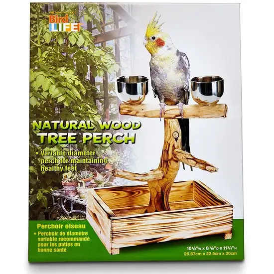 Penn Plax Bird Life Natural Wood Tree Perch Photo 2