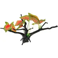 Photo of Penn Plax Driftwood Plant - Green & Red - Wide