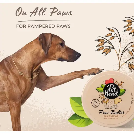 Pet Head Hydrating Paw Butter for Dogs Oatmeal with Coconut Oil Photo 2