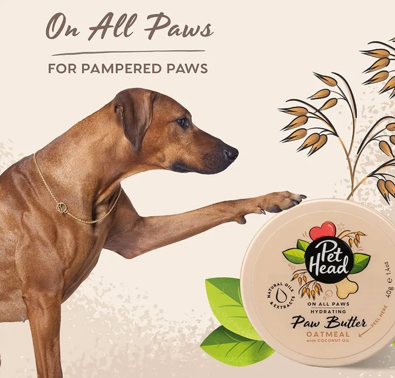Pet Head Hydrating Paw Butter for Dogs Oatmeal with Coconut Oil Photo 2