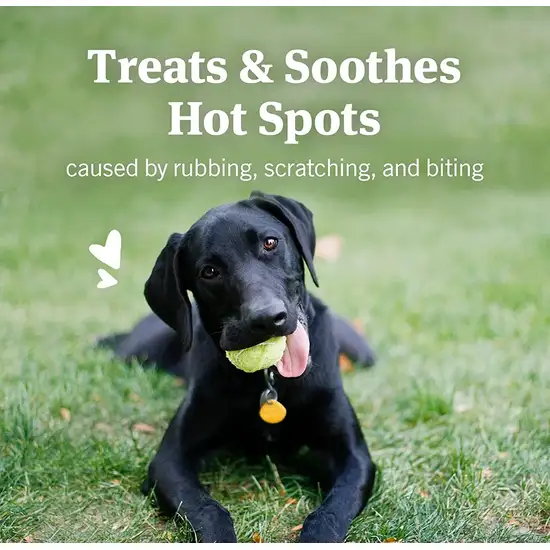 PetArmor Hot Spot Skin Remedy for Dogs Non-Stinging Formula Photo 6