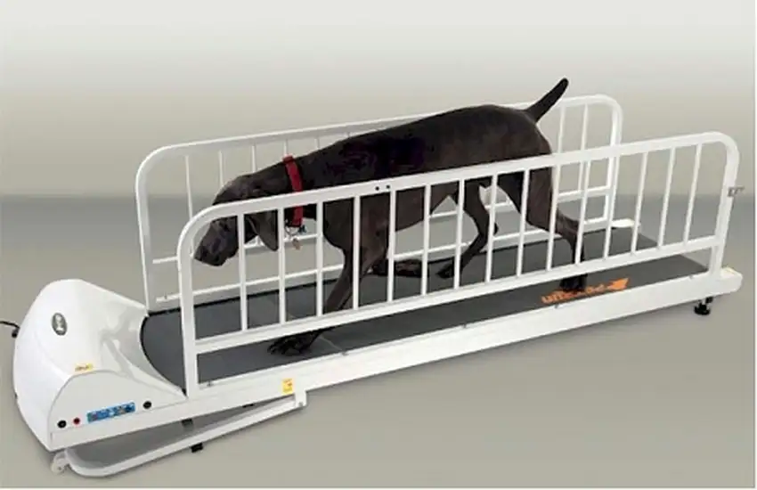 PetRun PR725 Dog Treadmill Photo 1