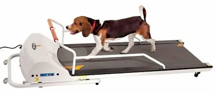 PetRun PR720F Dog Treadmill Photo 1
