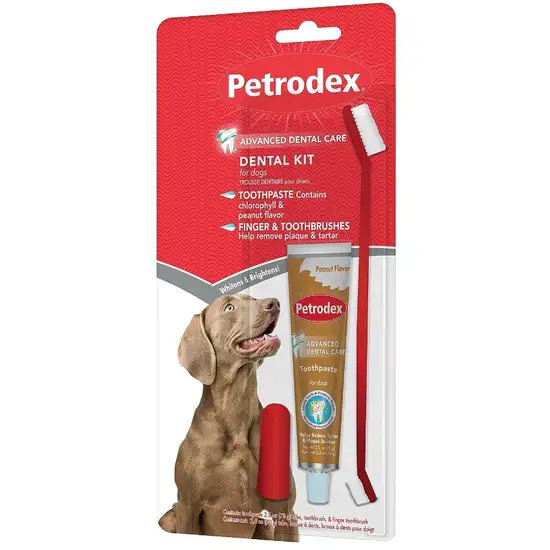 Petrodex Dental Kit for Dogs - Peanut Butter Flavor Photo 1