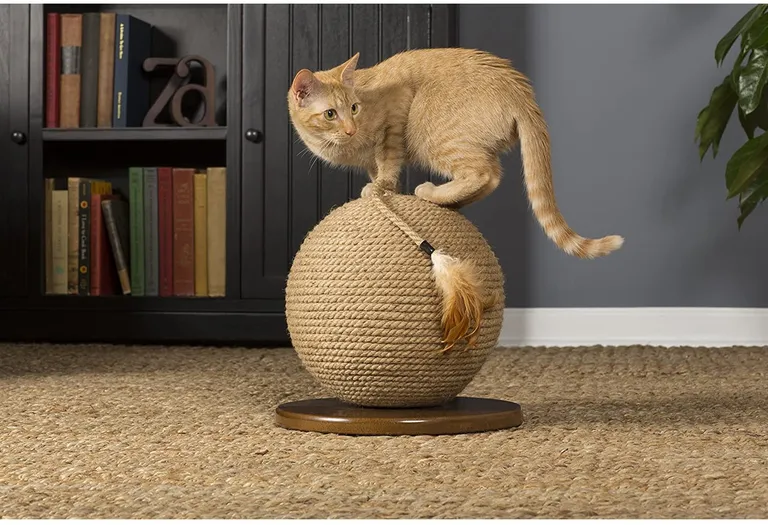 Prevue Pet Kitty Power Paws Sphere Scratching Post Photo 3
