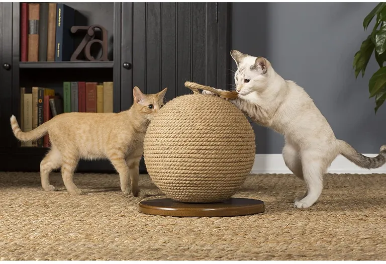 Prevue Pet Kitty Power Paws Sphere Scratching Post Photo 4