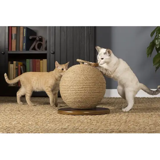 Prevue Pet Kitty Power Paws Sphere Scratching Post Photo 4