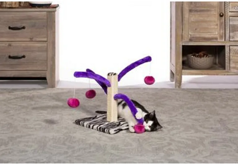 Prevue Pet Products Bounce n Spring Cat Scratcher Photo 4