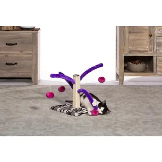 Prevue Pet Products Bounce n Spring Cat Scratcher Photo 4