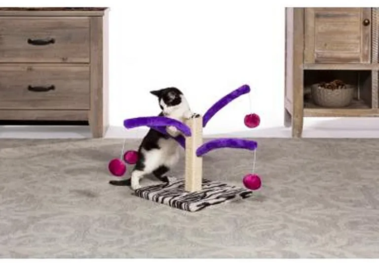Prevue Pet Products Bounce n Spring Cat Scratcher Photo 3
