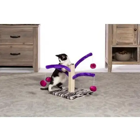 Prevue Pet Products Bounce n Spring Cat Scratcher Photo 3