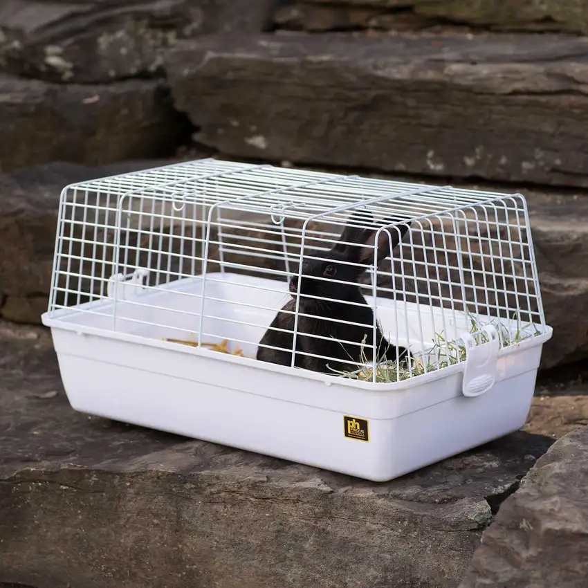 Prevue Pet Products Carina Small Animal Cage - White Photo 1