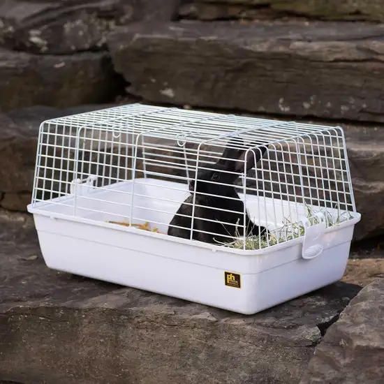 Prevue Pet Products Carina Small Animal Cage - White Photo 1