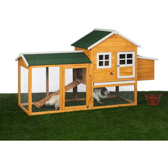 Prevue Pet Products 4700 Chicken Coop with Nest Box Photo 3