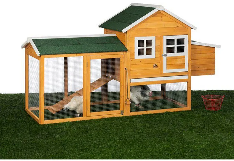 Prevue Pet Products 4700 Chicken Coop with Nest Box Photo 3