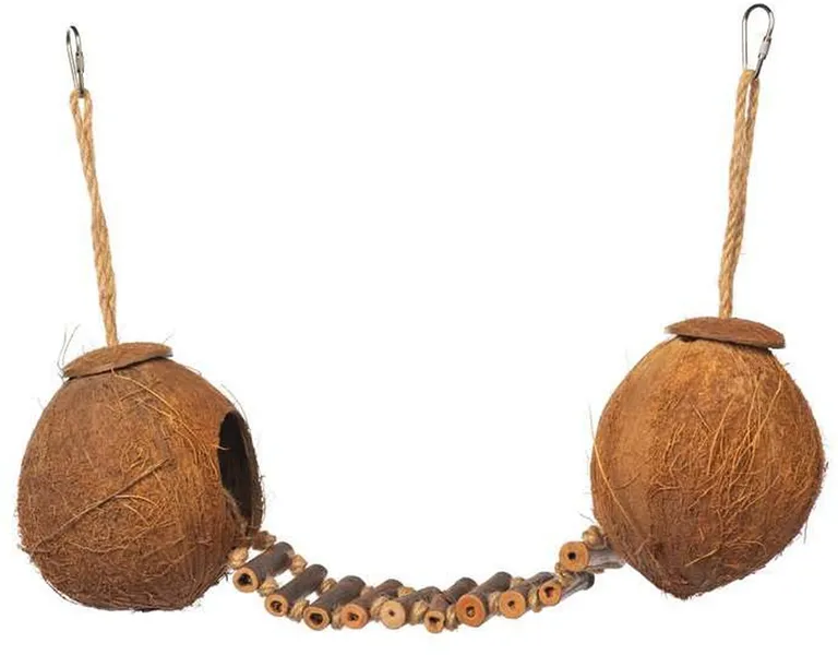 Prevue Pet Products Double Coconut with Ladder - 62818 Photo 3