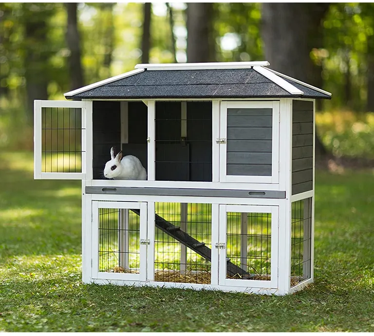 Prevue Pet Products 4601 Duplex Rabbit Hutch Photo 3