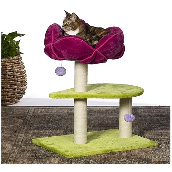 Prevue Pet Products Flower Power Photo 4