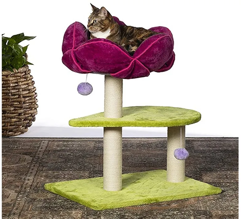 Prevue Pet Products Flower Power Photo 4