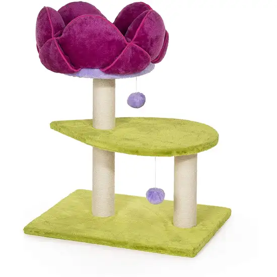 Prevue Pet Products Flower Power Photo 2