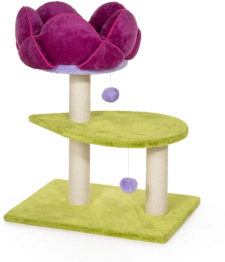Prevue Pet Products Flower Power Photo 2