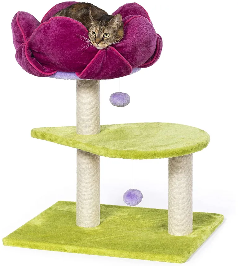 Prevue Pet Products Flower Power Photo 1
