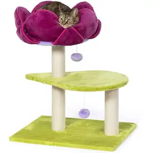 Photo of Prevue Pet Products Flower Power