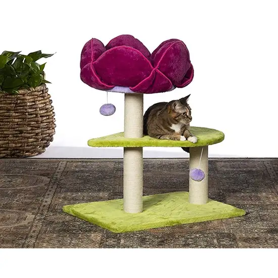 Prevue Pet Products Flower Power Photo 3
