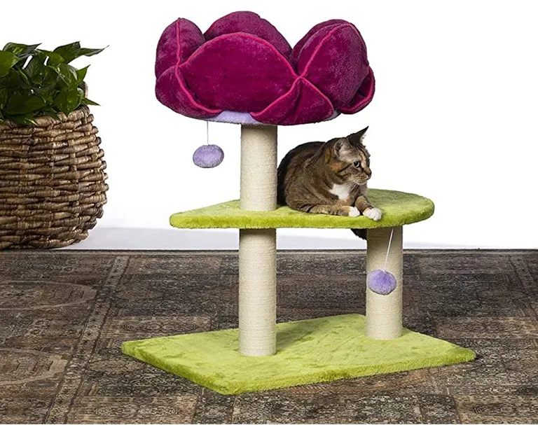 Prevue Pet Products Flower Power Photo 3