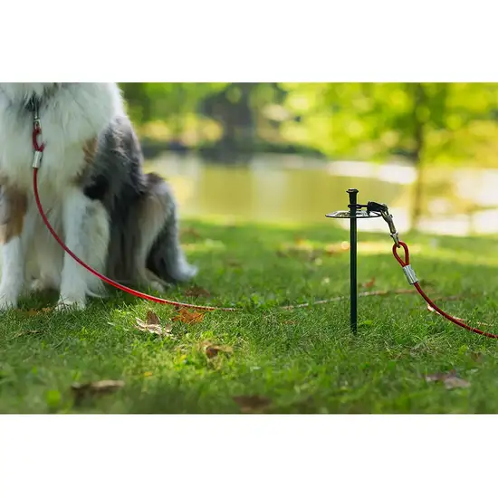 Prevue Pet Products 20 Foot Tie-out Cable Heavy Duty Photo 3