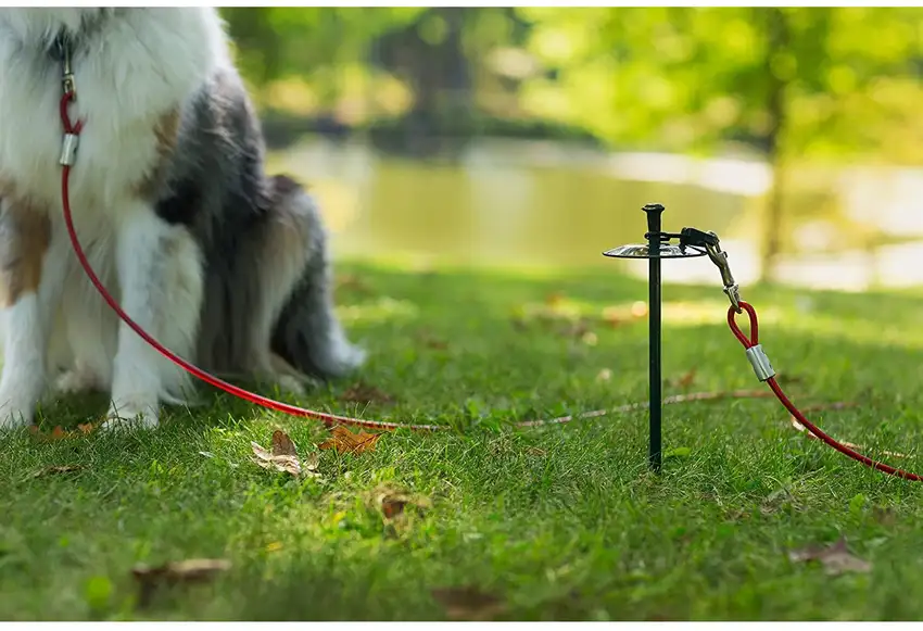 Prevue Pet Products 20 Foot Tie-out Cable Heavy Duty Photo 3